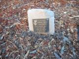image of grave number 619335